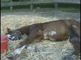 long day